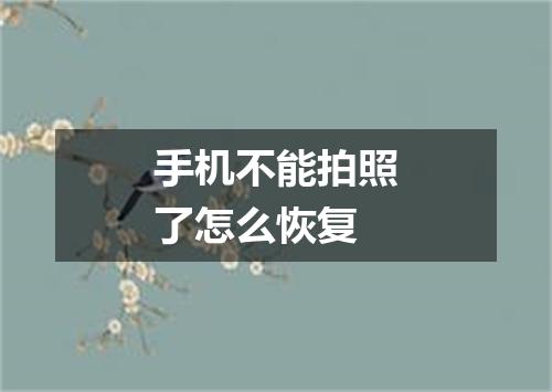 手机不能拍照了怎么恢复