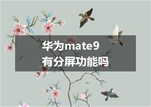 华为mate9有分屏功能吗