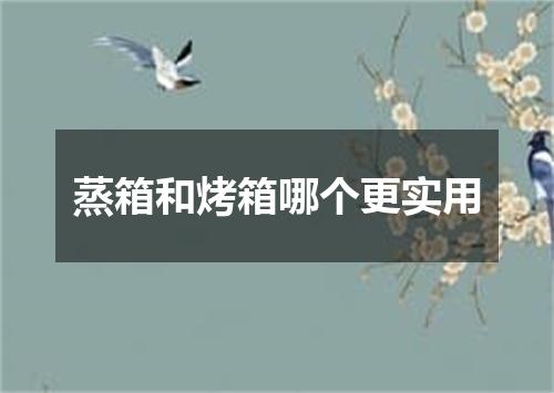 蒸箱和烤箱哪个更实用