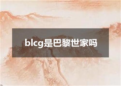 blcg是巴黎世家吗