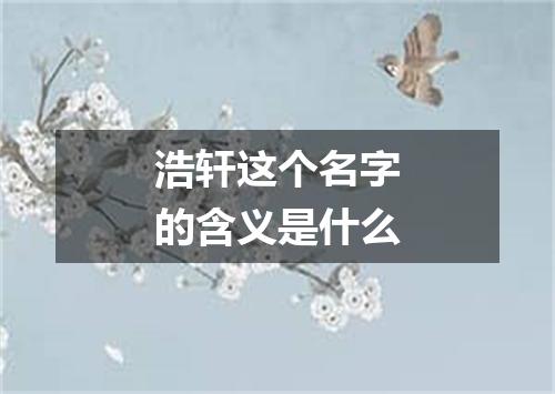 浩轩这个名字的含义是什么