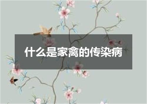 什么是家禽的传染病
