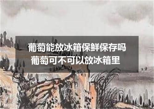 葡萄能放冰箱保鲜保存吗 葡萄可不可以放冰箱里