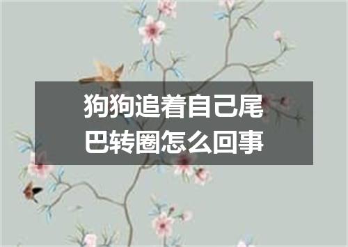 狗狗追着自己尾巴转圈怎么回事