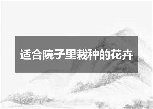 适合院子里栽种的花卉