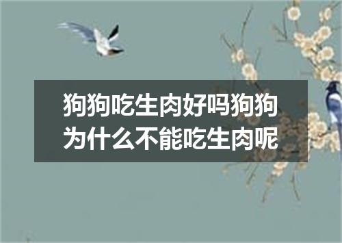 狗狗吃生肉好吗狗狗为什么不能吃生肉呢