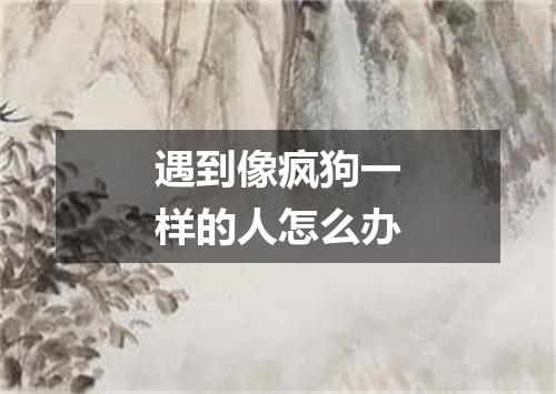 遇到像疯狗一样的人怎么办