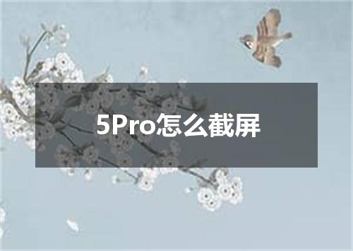 5Pro怎么截屏