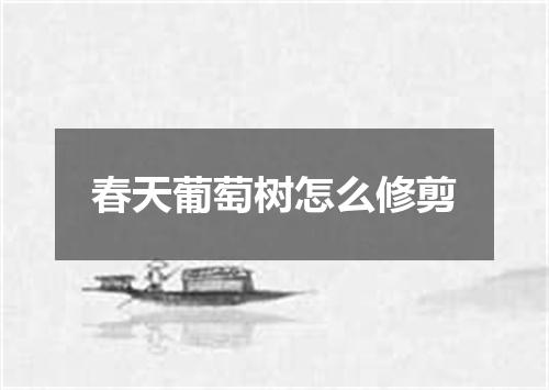 春天葡萄树怎么修剪