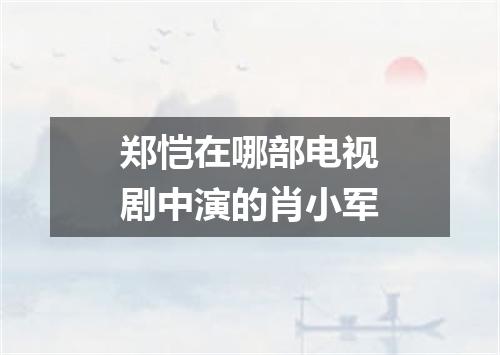 郑恺在哪部电视剧中演的肖小军