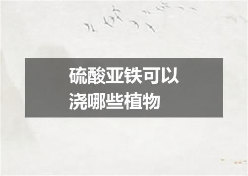 硫酸亚铁可以浇哪些植物