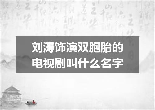 刘涛饰演双胞胎的电视剧叫什么名字
