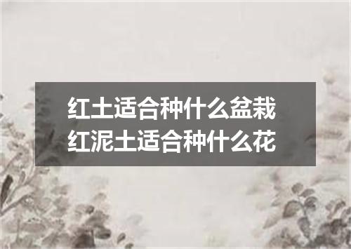 红土适合种什么盆栽 红泥土适合种什么花