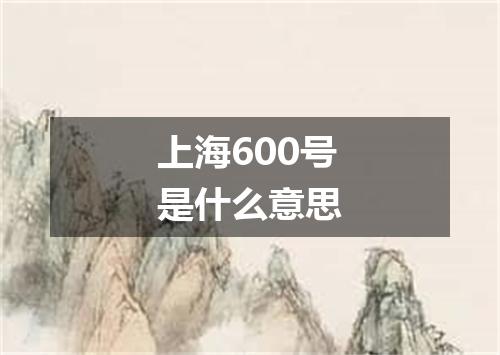 上海600号是什么意思