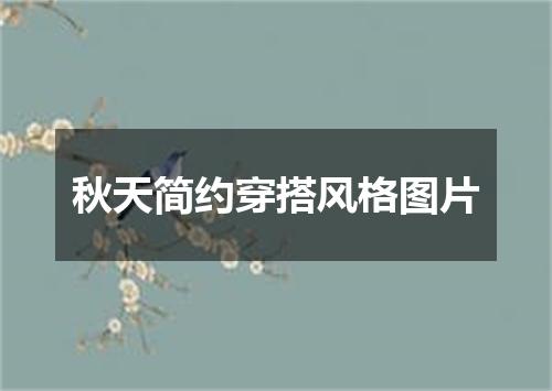 秋天简约穿搭风格图片