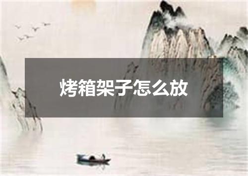 烤箱架子怎么放