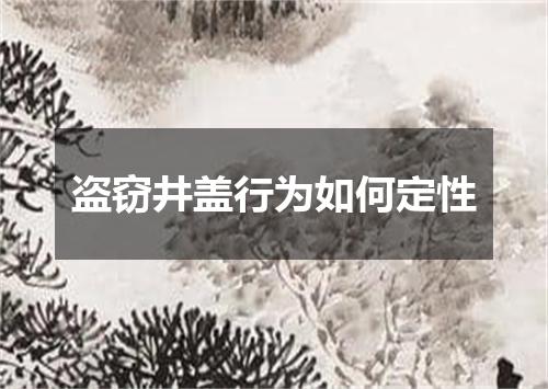 盗窃井盖行为如何定性