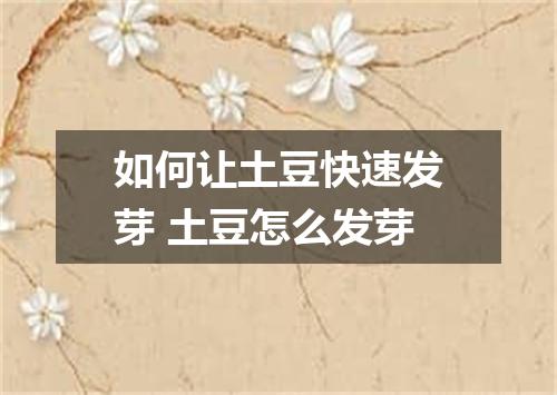 如何让土豆快速发芽 土豆怎么发芽