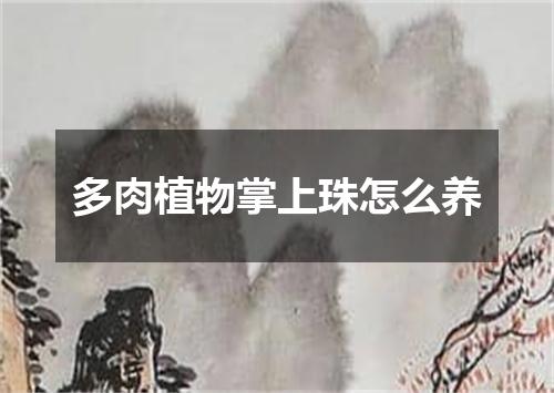 多肉植物掌上珠怎么养