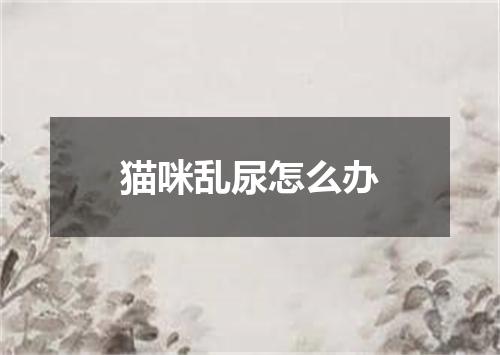 猫咪乱尿怎么办