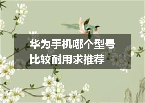 华为手机哪个型号比较耐用求推荐