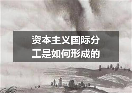 资本主义国际分工是如何形成的