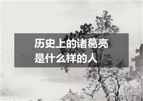 历史上的诸葛亮是什么样的人