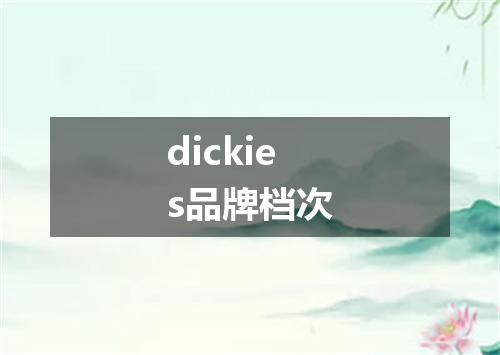 dickies品牌档次