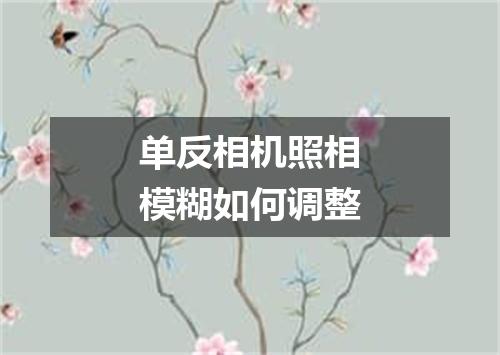 单反相机照相模糊如何调整