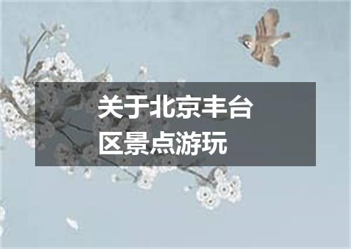 关于北京丰台区景点游玩