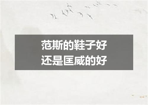 范斯的鞋子好还是匡威的好