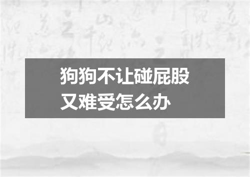 狗狗不让碰屁股又难受怎么办
