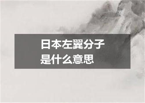 日本左翼分子是什么意思