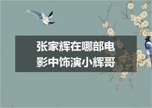 张家辉在哪部电影中饰演小辉哥