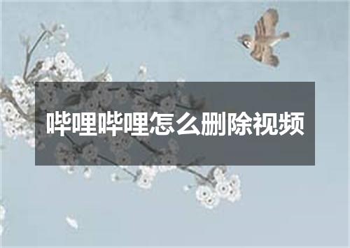 哔哩哔哩怎么删除视频