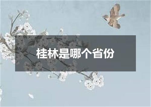 桂林是哪个省份