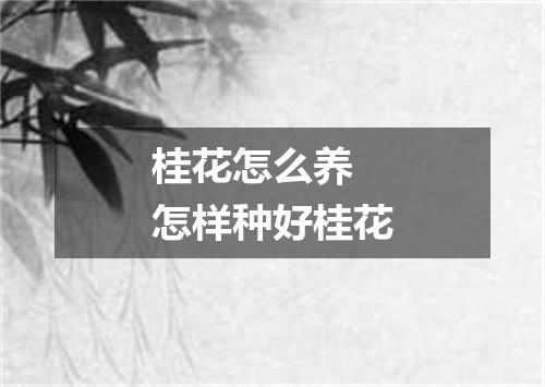 桂花怎么养 怎样种好桂花