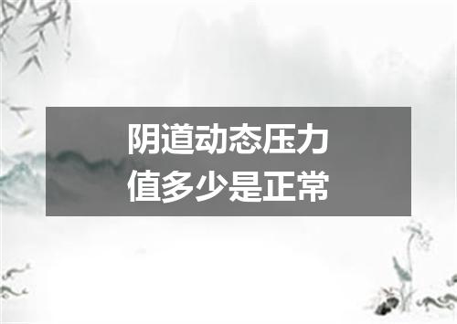 阴道动态压力值多少是正常