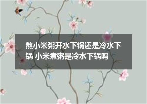熬小米粥开水下锅还是冷水下锅 小米煮粥是冷水下锅吗