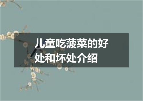 儿童吃菠菜的好处和坏处介绍