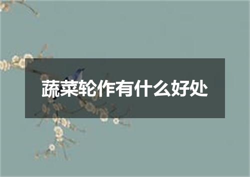 蔬菜轮作有什么好处