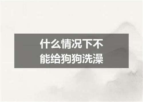 什么情况下不能给狗狗洗澡