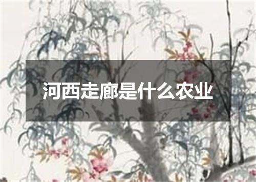 河西走廊是什么农业