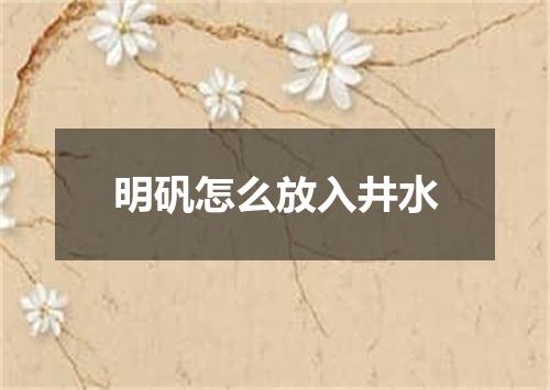 明矾怎么放入井水