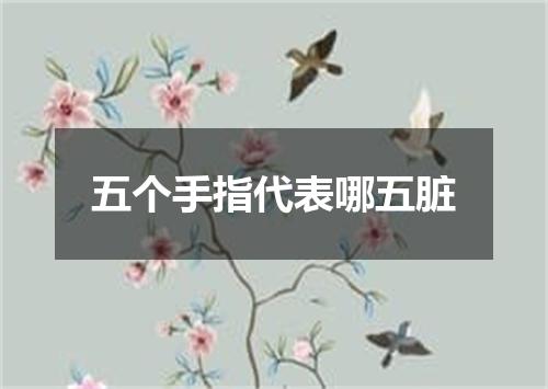 五个手指代表哪五脏