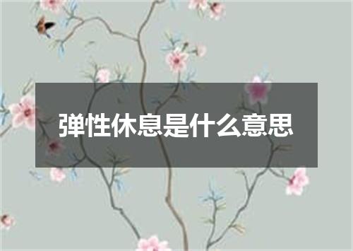弹性休息是什么意思