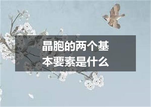 晶胞的两个基本要素是什么