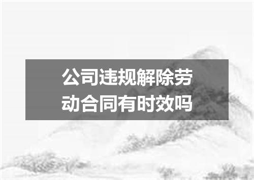 公司违规解除劳动合同有时效吗