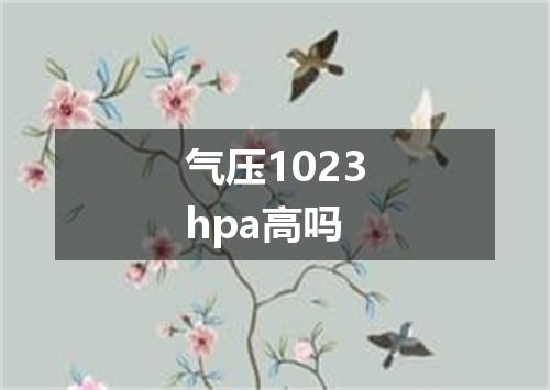 气压1023hpa高吗