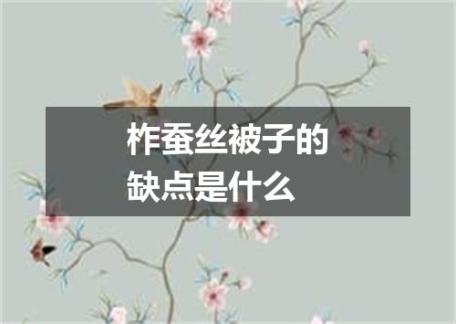 柞蚕丝被子的缺点是什么